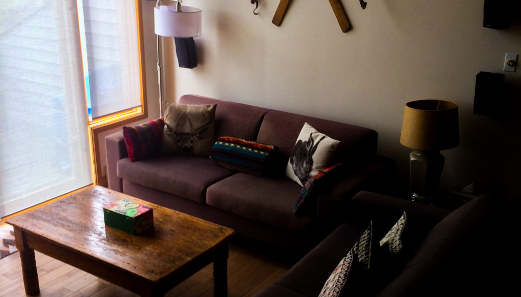 living room with sofas and antique coffee table